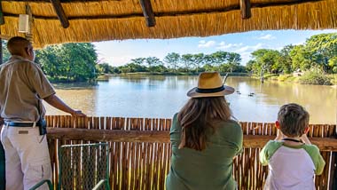Bird Watching | Phelwana Game Lodge