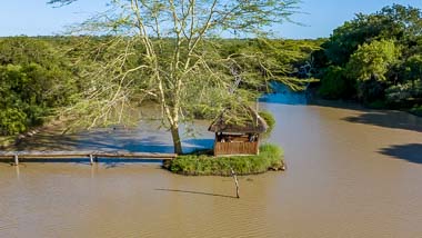 Bird Watching | Phelwana Game Lodge