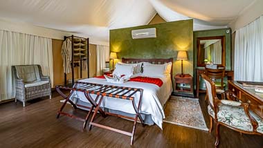 Luxury Tented Camp | Phelwana Game Lodge