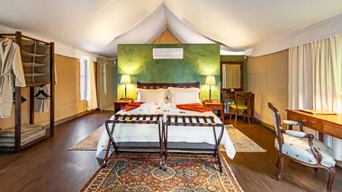 Luxury Tented Camp | Phelwana Game Lodge