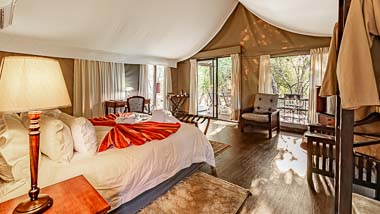 Luxury Tented Camp | Phelwana Game Lodge