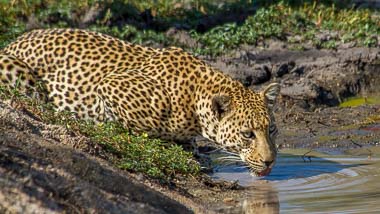 The Guys Photography - © www.theguys.co.za