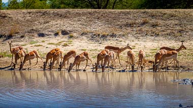 The Guys Photography - © www.theguys.co.za