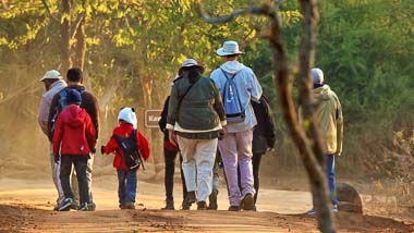 Bush Walks | Phelwana Game Lodge