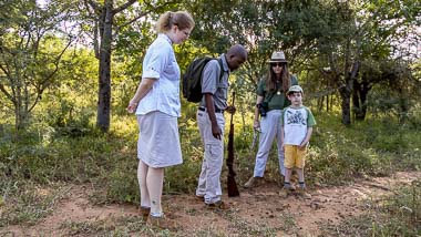 Bush Walks | Phelwana Game Lodge