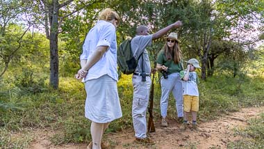 Bush Walks | Phelwana Game Lodge